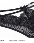 French Sexy Transparent Seductive Lace