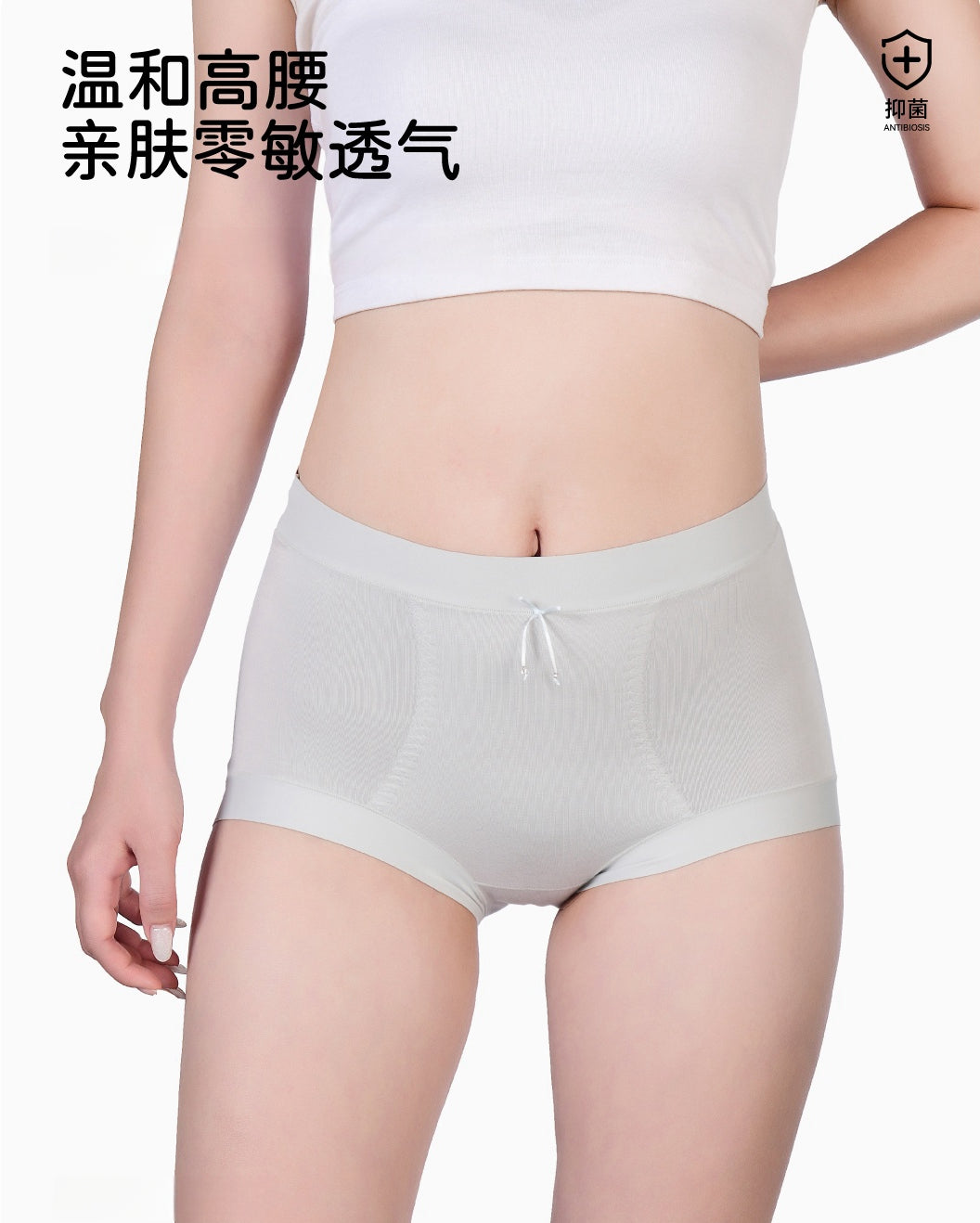 Ultra-Fine Modal Plus-Size Shaping Briefs