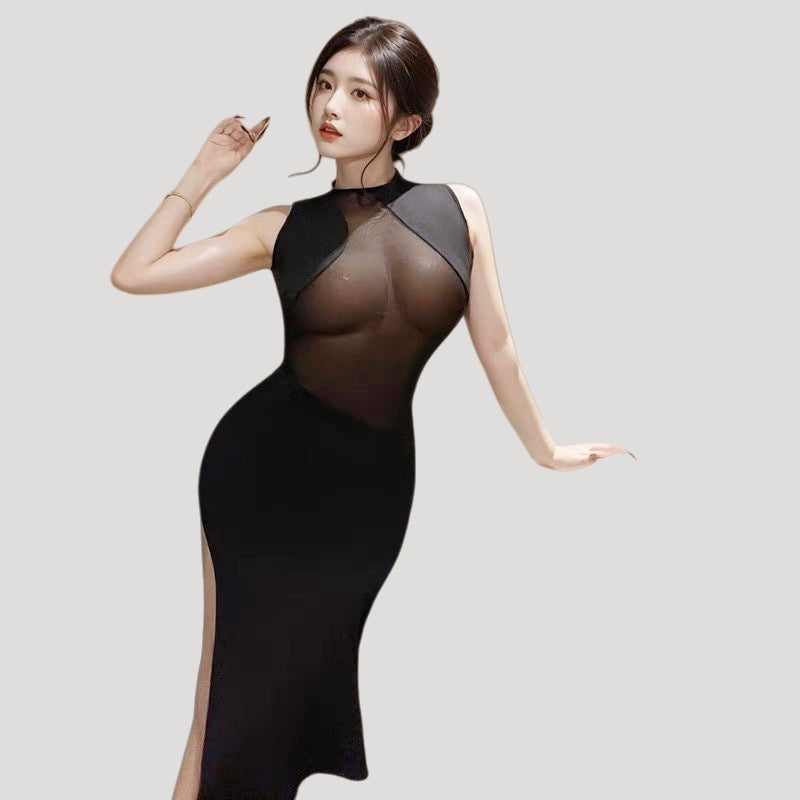 Sheer Seductive Sexy Bodycon Maxi Dress