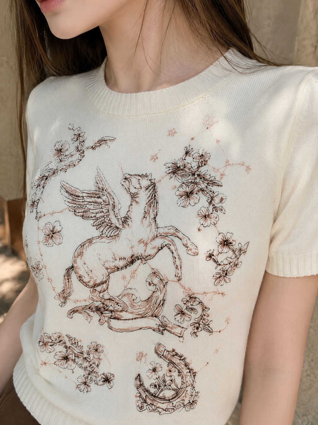 Heavy Embroidered Pegasus Knit Top