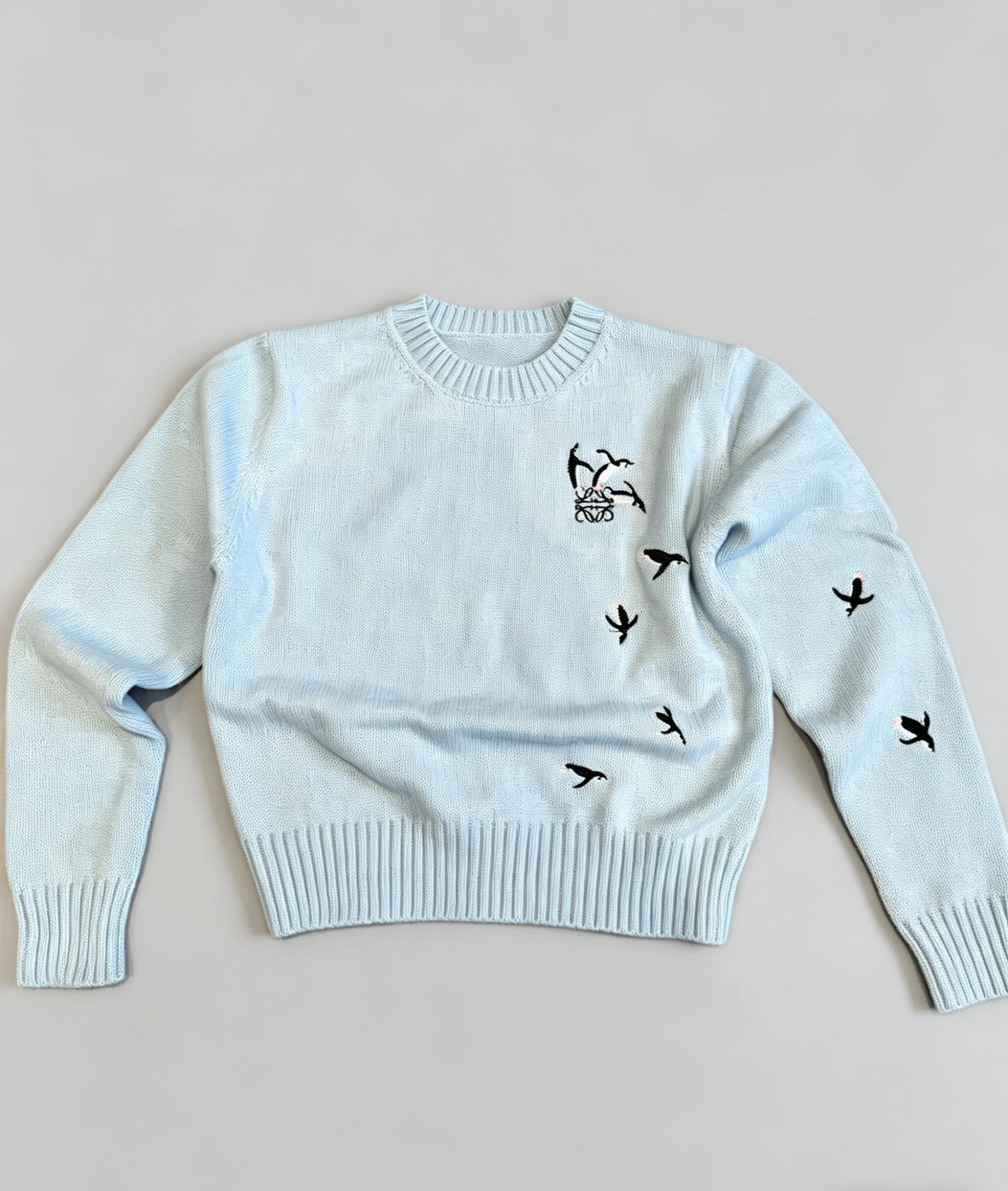 Loewe-Inspired W Embroidered Cropped Knit Sweater