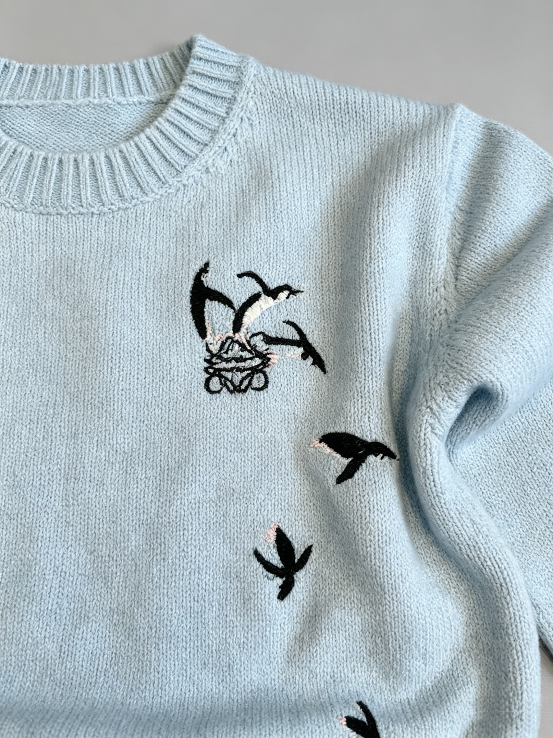Loewe-Inspired W Embroidered Cropped Knit Sweater