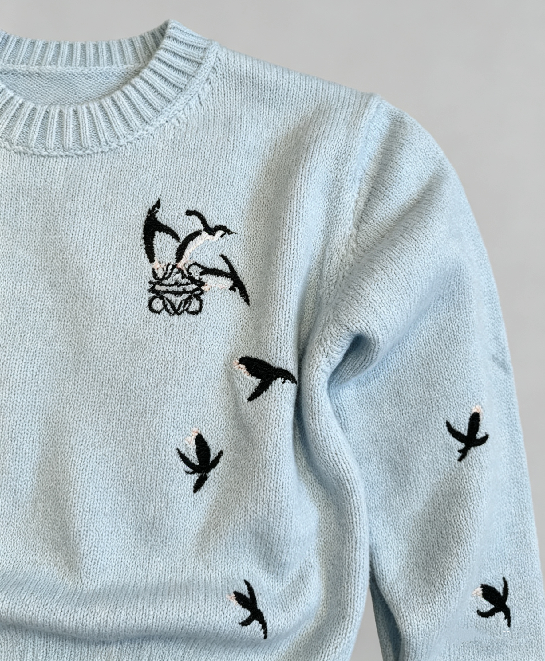 Loewe-Inspired W Embroidered Cropped Knit Sweater