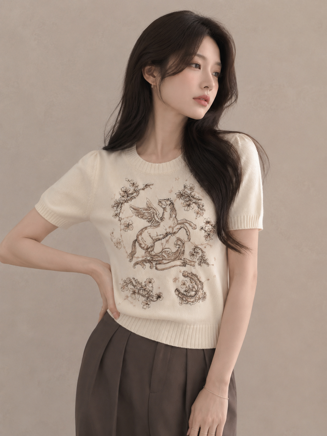 Heavy Embroidered Pegasus Knit Top