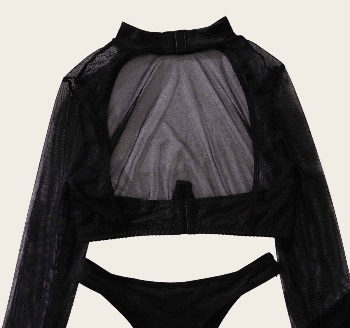 Sheer Long Sleeve Crop Top &amp;amp; Stocking Set