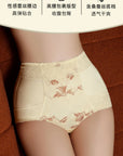 High-Waist Satin Vintage Lace Silk Crotch Shaping Briefs (3-Pack)