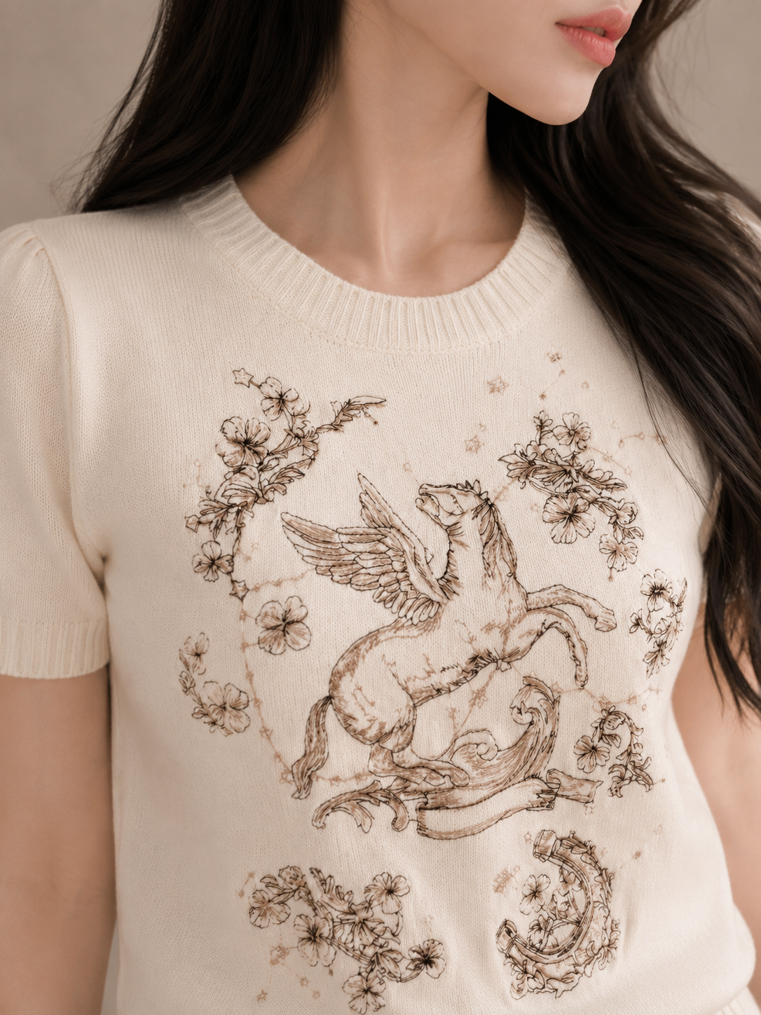Heavy Embroidered Pegasus Knit Top