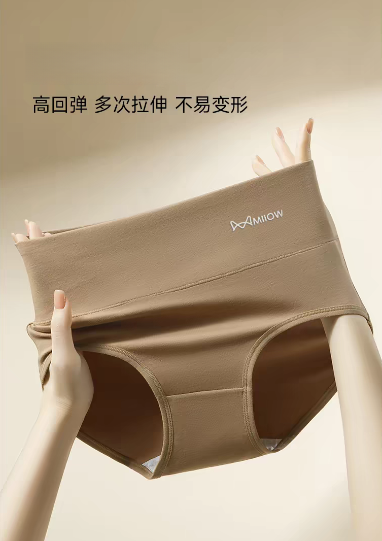 Merlot-Inspired High-Waist Tummy Control Hip-Hugging Panties (2-Pack)